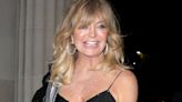 Goldie Hawn Has the Best Grandma Nickname EVER