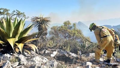 Emergencia por incendios forestales en Nuevo León