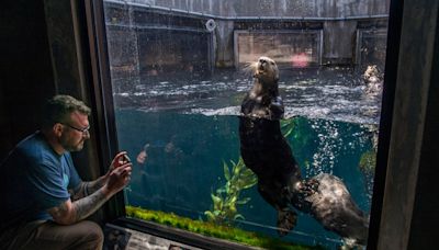 Monterey Bay Aquarium to offer free admission to low-income residents
