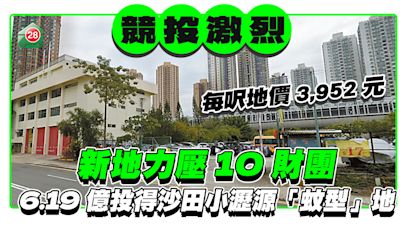 新地力壓10財團 6.19億投得沙田小瀝源「蚊型」地皮