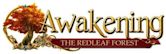 Awakening (video game series)