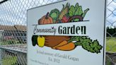 N.B. community garden gives back amidst rising grocery costs