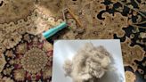 Old House Handyman: Fur what it's worth, pet hair removal tool works