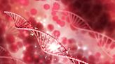 Gene Therapy For Blood Diseases