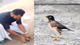 Kerala man performs CPR on bird that collapsed in middle of road. Watch video