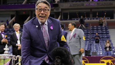 The winner of the Westminster dog show the year you were born
