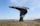 Singing Ringing Tree, Burnley