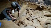 Hundreds of mammoth bones discovered in Austrian wine cellar | CNN