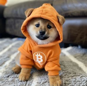 DOG•GO•TO•THE•MOON Price Prediction: DOG Is The 12th Largest Meme Coin Despite 4% Plunge As This 2.0 Crypto...