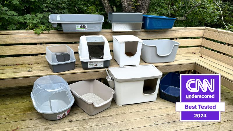 The best cat litter boxes in 2024, tried and tested | CNN Underscored