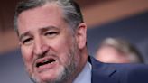 'Pathetic Shell' Ted Cruz Gets Blunt Reminder After Over-The-Top Trump Defense