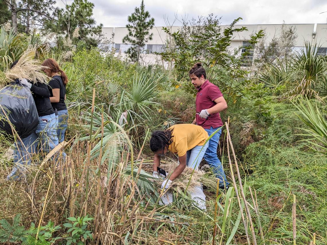 Once trashed, now saved: Students preserve rocky pineland next to their school