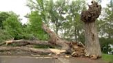Minneapolis park workers remain on strike amid storm cleanup