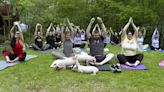 Piglet yoga class = maximum happiness