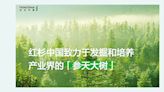 紅杉中國籌得180億人幣創投基金