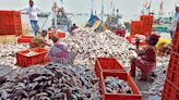 World-class fish market to come up in Sewri