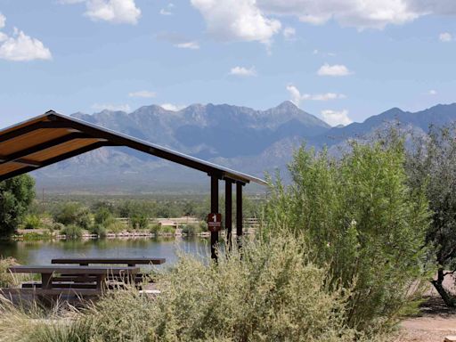 This Arizona Town Is One of the Best Places to Retire in the U.S. — With Affordable Homes...