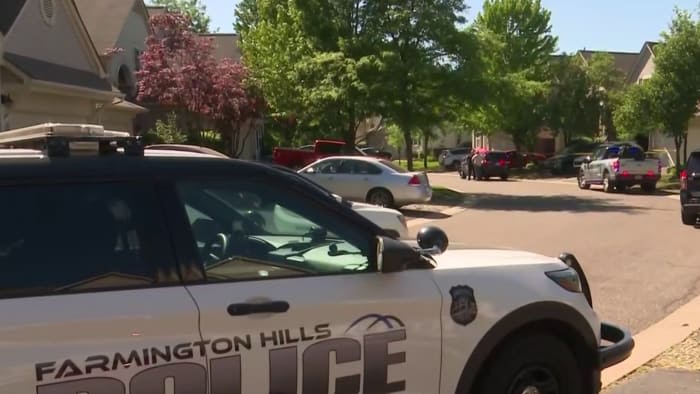 Man kills brother after argument over dog in Farmington Hills home, police say