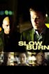 Slow Burn (2005 film)