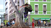 Vincent Milou and Crew Blazing the Streets of Gran Canaria