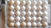 Éstas son las PEORES marcas de huevo blanco en el mercado, según PROFECO