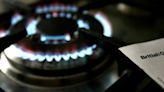 Martin Lewis MSE says British Gas customers get £95 boost without smart meter