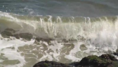 Harmful plankton bloom hits Capitola, impacting local health and economy