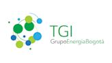 TGI y Suecia se alían para explorar uso de biogás en sector transporte