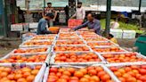 Are tomatoes making you see red? What's behind the rising cost?