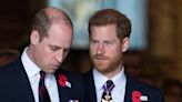 Prince Harry and Prince William's relationship has never been worse. These 9 photos show how their rift unfolded.