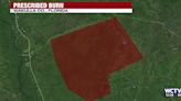 HEADS UP: Forest Service in Wakulla County prepares for 2k-acre prescribed burn