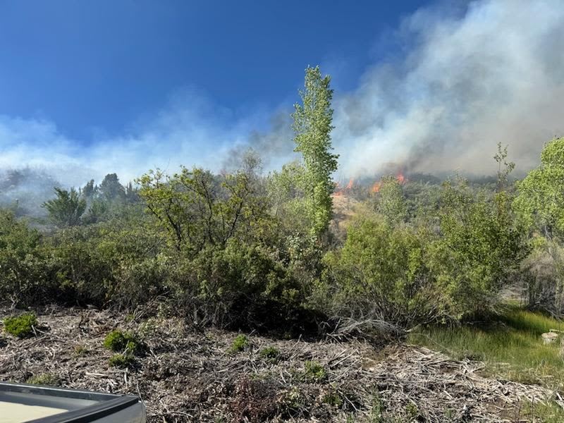 Fire burns at least 22 acres in Dixie National Forest, officials say