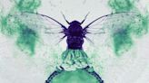 Cicada-geddon: the fungus that controls insects like 'zombies'