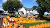 Check out these Milwaukee-area farms for pick-your-own pumpkins, hay rides, corn mazes and more fall fun