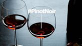 Diez grandes vinos Pinot Noir de Argentina para celebrar su día mundial