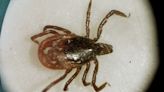 Tick season is expected to be worse than ever in Michigan