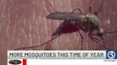 Rainfall totals and rising temperatures mean more mosquitos this year
