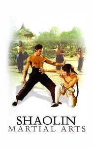 Shaolin Martial Arts