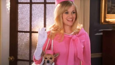 Jamie Suk’s Legally Blonde 3: Everything To Know About Next Installment Of The Reese Witherspoon Starrer