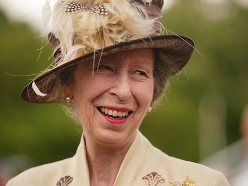 Princess Anne Returns Home After Concussion and Hospitalization