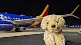 Southwest Reunites Little Girl With Missing Stuffed Dog Toy — See the Adorable Photos