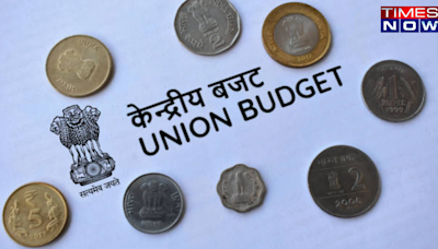 UK Businesses, Investors React Positively To Union Budget 2024