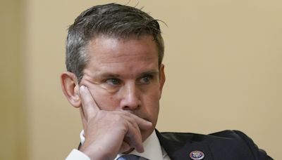 Kinzinger Blasted for Post About ‘Violent Rhetoric’ After Apparent Assassination Attempt on Trump