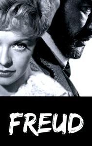 Freud: The Secret Passion