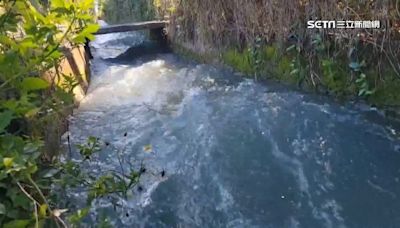 灌溉圳溝變漂漂河！男跳水圳當滑水道 水利署：違規也危險