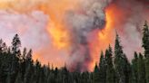What can Northern California expect this wildfire season? Risk depends on where you live