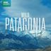 Wild Patagonia