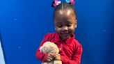 'She didn't deserve this'; family suffers heartbreak after 3-year-old killed in SE DC