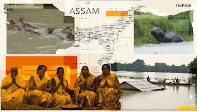 21 lakh people affected, over 50 dead in flood-hit Assam. 3 rhinos drown in submerged Kaziranga