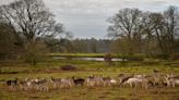 Park which inspired Sir David Attenborough becomes national nature reserve